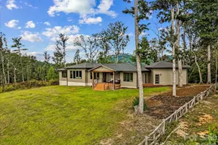 98 Running Ridge Rd, Asheville, NC 28804 - Photo 37
