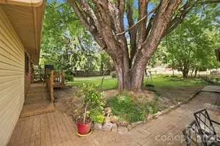 10687 Cruso Rd, Canton, NC 28716 - Photo 3