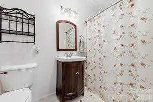 10687 Cruso Rd, Canton, NC 28716 - Photo 15