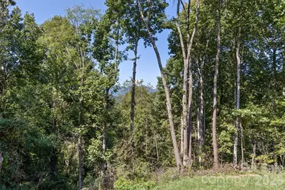 340 Matthew Lane, Canton, NC 28716 - Photo 39