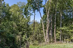 340 Matthew Ln, Canton, NC 28716 - Photo 39