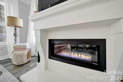 3053 Fish Story Court, Fort Mill, SC 29708 - Photo 11