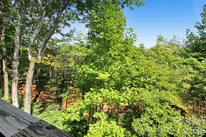 73 Toxaway Views Drive #303, Lake Toxaway, NC 28747 - Photo 11