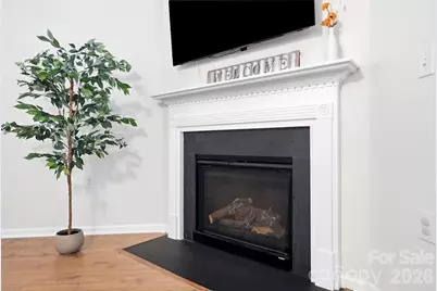 1046 Marcus Street, Indian Land, SC 29707 - Photo 11