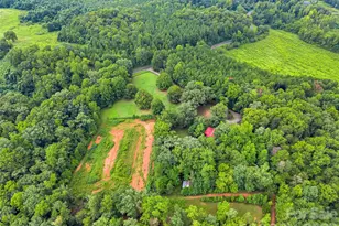 989 Fox Mountain Rd, Columbus, NC 28722 - Photo 39