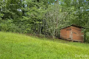 989 Fox Mountain Rd, Columbus, NC 28722 - Photo 29