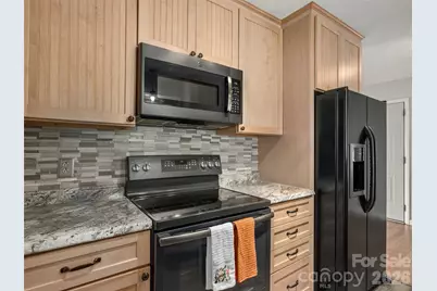 403 Lower Grassy Branch Road, Asheville, NC 28805 - Photo 9