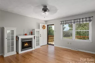 407 Lower Grassy Branch Rd, Asheville, NC 28805 - Photo 3