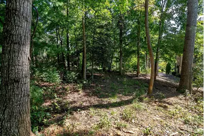 16 Mountain Orchid Way #CWC-CP-085, Arden, NC 28704 - Photo 3