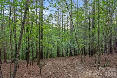 0000 Lucy Short Cut Road #2, Marshville, NC 28103 - Photo 33