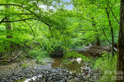 0000 Lucy Short Cut Road #3, Marshville, NC 28103 - Photo 5