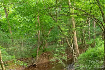 0000 Lucy Short Cut Road #3, Marshville, NC 28103 - Photo 23