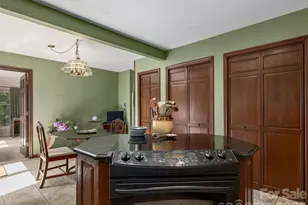 440 Sondley Woods Pl, Asheville, NC 28805 - Photo 13
