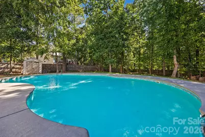 115 Doby Creek Court, Fort Mill, SC 29715 - Photo 41