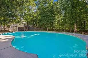 115 Doby Creek Ct, Fort Mill, SC 29715 - Photo 41