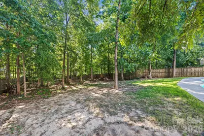 115 Doby Creek Court, Fort Mill, SC 29715 - Photo 43