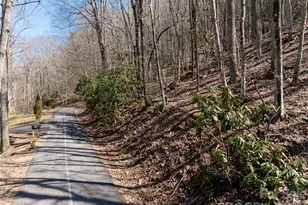 99999 Laurel Dr, Mills River, NC 28759 - Photo 21