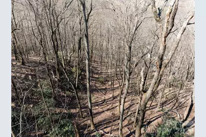 99999 Laurel Drive, Mills River, NC 28759 - Photo 7