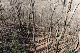 99999 Laurel Dr, Mills River, NC 28759 - Photo 7