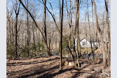 99999 Laurel Drive, Mills River, NC 28759 - Photo 19