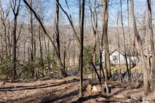 99999 Laurel Dr, Mills River, NC 28759 - Photo 19
