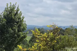 173 Pisgah Ridge Trl, Mills River, NC 28759 - Photo 11