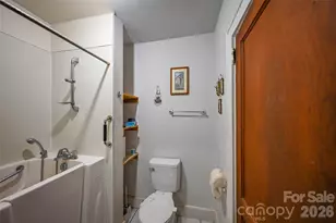 164 N Mitchell Ave, Bakersville, NC 28705 - Photo 31