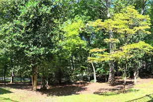 1137 Mountain Laurel Dr, Columbus, NC 28722 - Photo 47