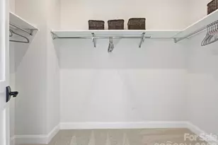 6016 Yellow Buckeye Dr, Charlotte, NC 28277 - Photo 25