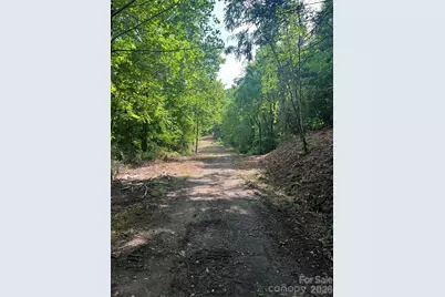 000 Compromise Drive, Waynesville, NC 28785 - Photo 3