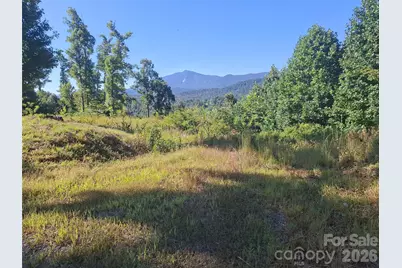 1 River Crest, Burnsville, NC 28714 - Photo 1