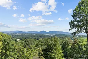 114 Split Rock Trl, Arden, NC 28704 - Photo 3
