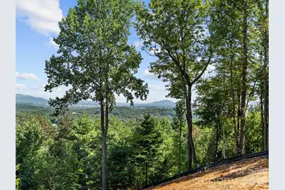 114 Split Rock Trail #8, Arden, NC 28704 - Photo 19