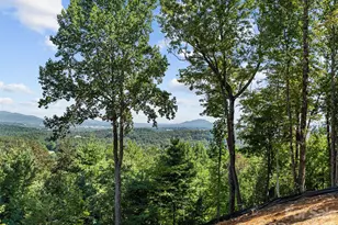 114 Split Rock Trl, Arden, NC 28704 - Photo 19