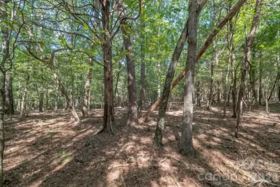 589 Bill Curlee Road, Polkton, NC 28135 - Photo 29
