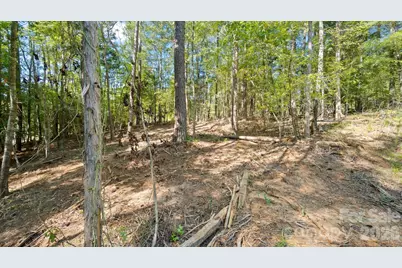 2820 Rock Chimney Circle, Lancaster, SC 29720 - Photo 41