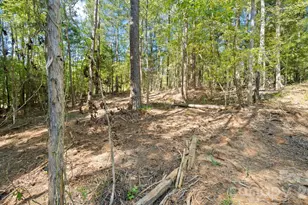 2820 Rock Chimney Cir, Lancaster, SC 29720 - Photo 41