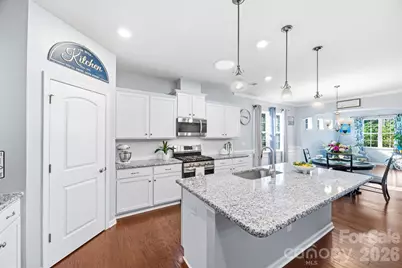 140 Picasso Trail, Mount Holly, NC 28120 - Photo 9