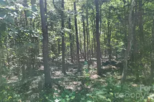 000 Plaza Road Ext, Charlotte, NC 28215 - Photo 9
