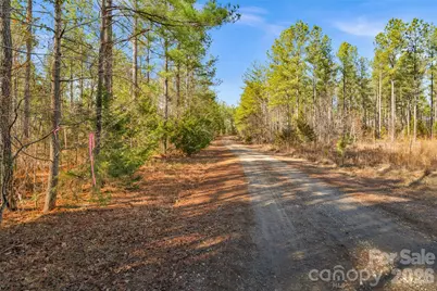 000 Peacehaven Road #6, McConnells, SC 29726 - Photo 5