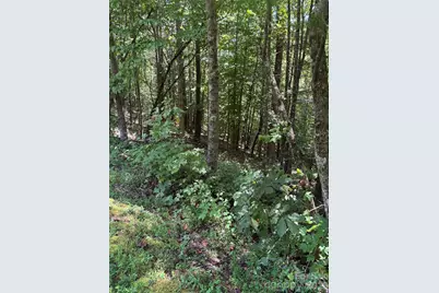 Lot 14 Walnut Ridge Drive #14, Lenoir, NC 28645 - Photo 3