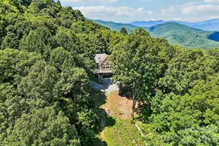 2705 Sand Br Rd, Black Mountain, NC 28711 - Photo 39