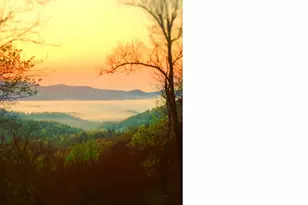 2705 Sand Br Rd, Black Mountain, NC 28711 - Photo 47