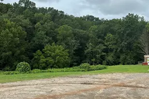 1060 Old Ballpark Rd, Spindale, NC 28160 - Photo 3