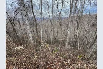 Lot 7 Deer Ridge Road, Bryson City, NC 28713 - Photo 5
