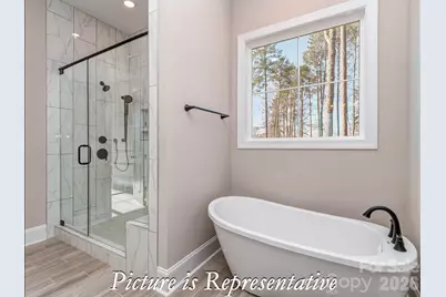 16818 Harbor View Road, Charlotte, NC 28278 - Photo 19