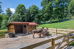 100 Loafer Ln, Waynesville, NC 28785 - Photo 43