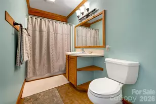 688 Blueberry Farm Rd, Zirconia, NC 28790 - Photo 43