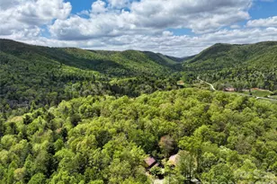 688 Blueberry Farm Rd, Zirconia, NC 28790 - Photo 47