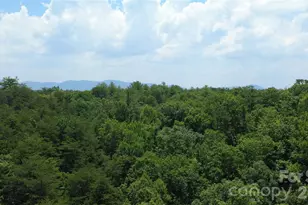 4691 Snowhill Church Rd, Morganton, NC 28655 - Photo 19
